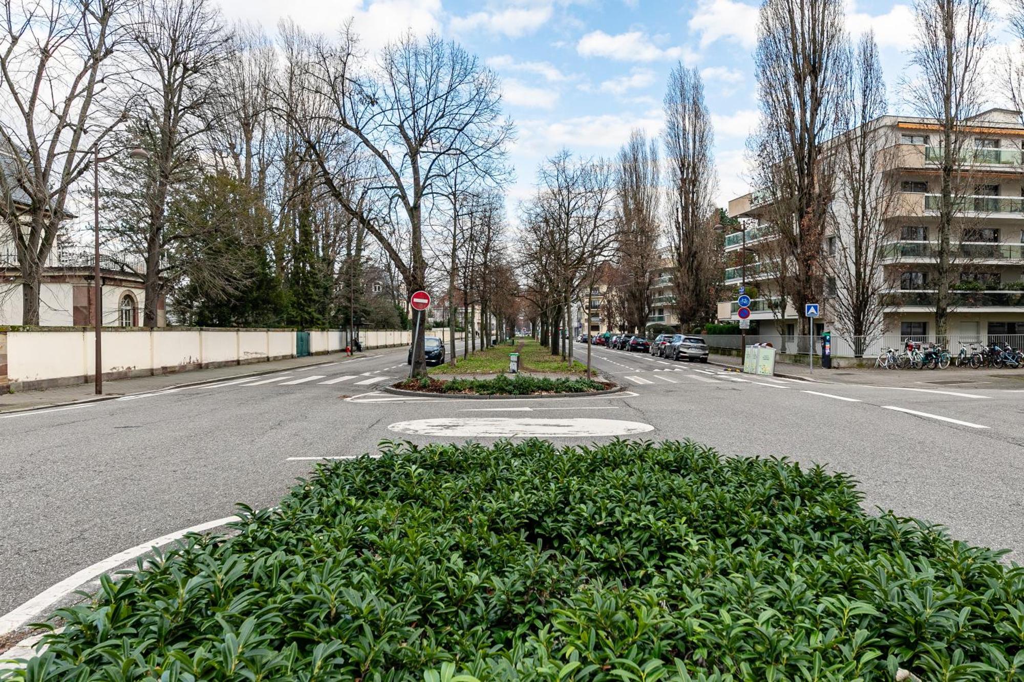 Strasbourg Chaleureux Studio, Orangerie Εξωτερικό φωτογραφία